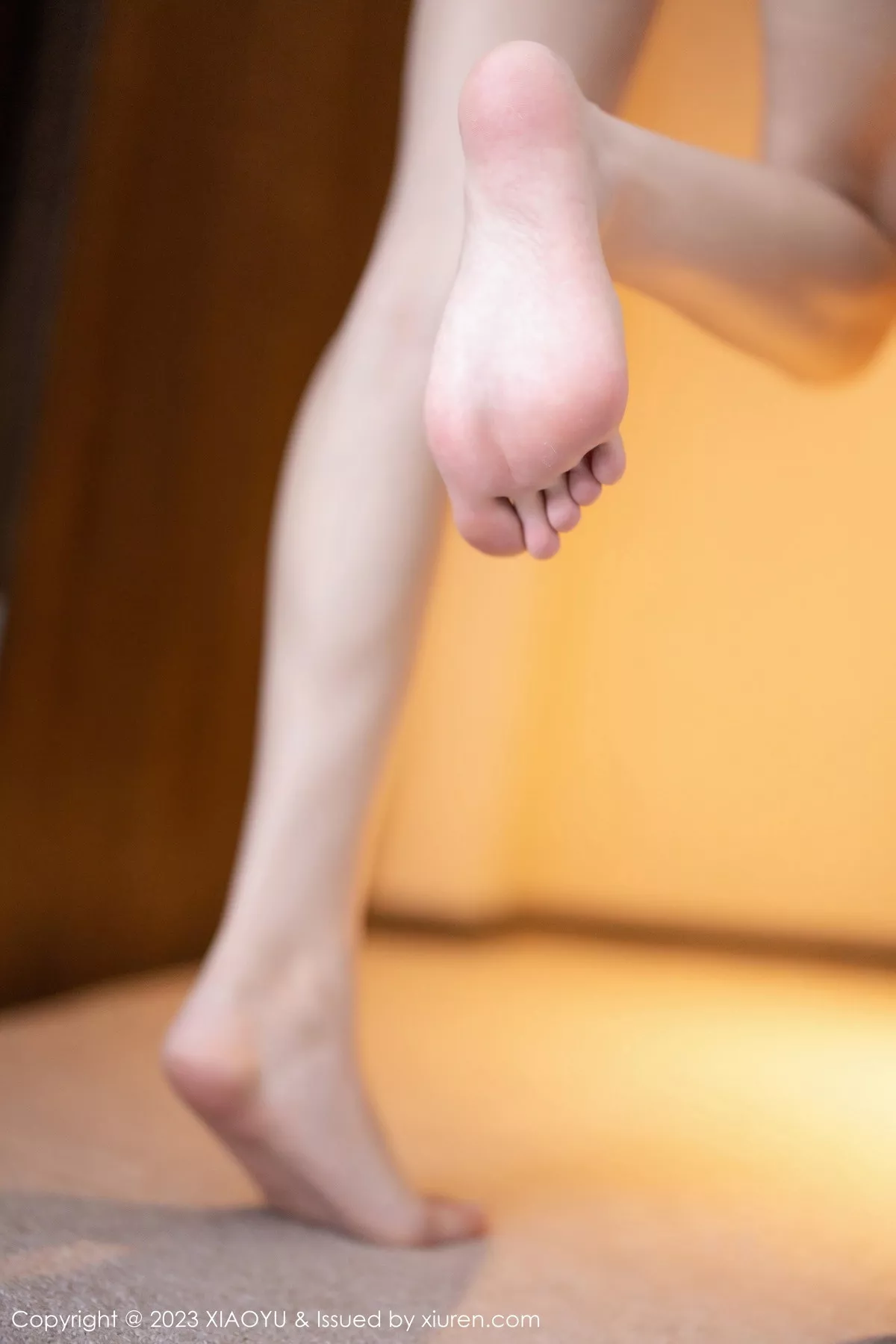 [XiaoYu画语界]第1088期林星阑写真-秀人资源网